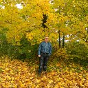 ���� ��������, �����-���������, 73 ���� - ��������� 15 ������� 2017 � ������ ���� ����������