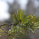 ���� ���������, ���������� - ��������� 24 ������ 2017 � ������ �23-04-17�