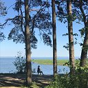 ���� ���������, ����������� - ��������� 1 ���� 2017