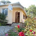 ���� �������, ���� - ��������� 8 ��� 2017 � ������ ������ ��������