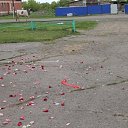 ���� �������, �������, 42 ���� - ��������� 8 �������� 2017 � ������ ���� ����������