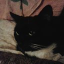 Elenka))) 220,  -  14  2017    -  .