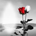 ���� Lana, ����, 53 ���� - ��������� 27 ������� 2017 � ������ ���� ����������