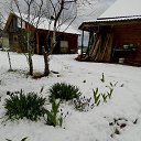 ���� �����, ���������, 61 ��� - ��������� 13 ��� 2017 � ������ ������ ��������