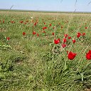 ���� �������, ������, 54 ���� - ��������� 20 ������ 2017