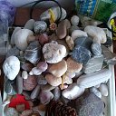 ���� �������, �����-���������, 55 ��� - ��������� 20 �������� 2017 � ������ ��� - ������������