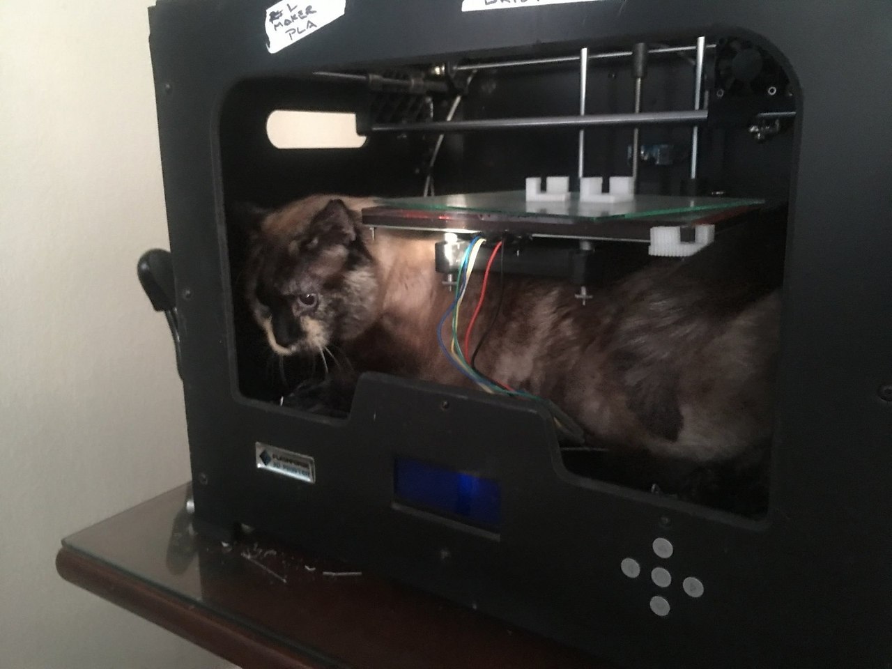 3D ,   