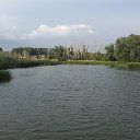  , , 62  -  27  2017     .