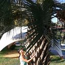 ���� �������, ��������, 51 ��� - ��������� 14 ������� 2017 � ������ ���� ����������