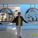 ���� �������, ������, 68 ��� - ��������� 11 ������ 2017 � ������ ���� ����������