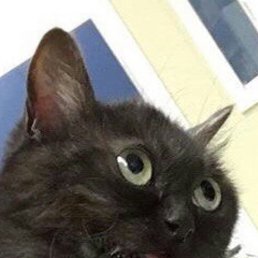 �, ������, 19 ���