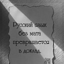 ���� ���� ������� �� ����� ��������, ����, 46 ��� - ��������� 15 ������ 2017 � ������ ���� ����������