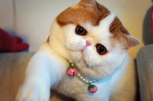 �������!^^.���� ���/�� � ����.� ��?