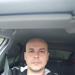 �������, ������, 41 ���