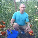 Wir Hobbys: Meine Frau und ich wachsen Tomaten in Krasnodar
Wir Hobbys: Meine Frau und ich wachsen Tomaten in Krasnodar
 .
Wir haben ein Hobby: wir wachsen Tomaten mit unserer Frau in Krasnodar. �� ������� ���� ����������