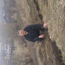 ���� Abilkassym, ������, 67 ��� - ��������� 2 �������� 2017