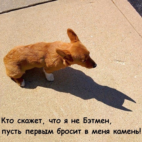 ��� ���� - 21 ������� 2017 � 19:26