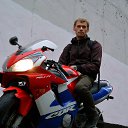 ���� �������, ������, 38 ��� - ��������� 17 ������ 2017 � ������ ���� ����������