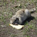 ���� ����, ����������, 57 ��� - ��������� 29 ������ 2017 � ������ ������ 2017�