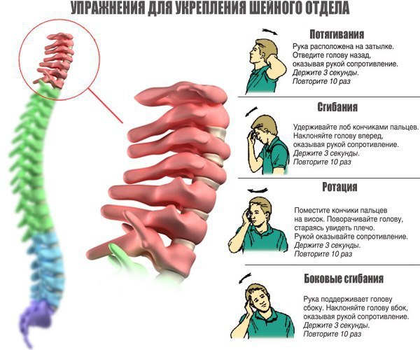 Упражнения для укрепления позвоночника. Закон любого живого существа в том, что движение является ...