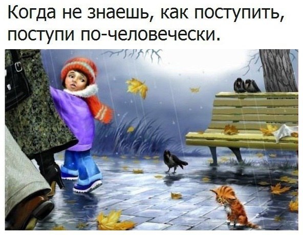   -  ,  -  - 3  2017  07:09