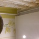 ���� ����, �������, 42 ���� - ��������� 10 ������� 2017 � ������ ���� ����������