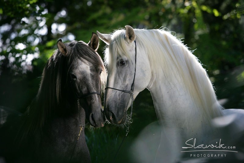  -   ! - 29  2017  21:04