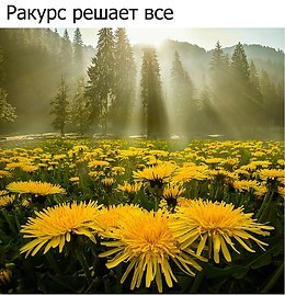  -   ! - 27  2017  19:31