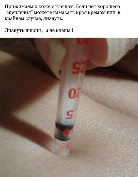  100%  ,   : - 5