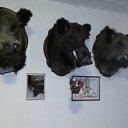 ���� �������, ������, 61 ��� - ��������� 12 ���� 2017 � ������ ���� ����������