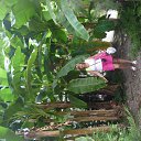 ���� Vera, ���, 63 ���� - ��������� 27 ������� 2017 � ������ ���� ����������