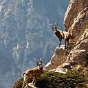 ���� Bazaza, �������, 56 ��� - ��������� 5 ������� 2017 � ������ �Timeline Photos�