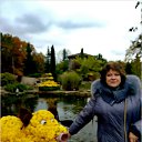 ���� �������, ���������, 61 ��� - ��������� 15 ������ 2017 � ������ ���� ����������