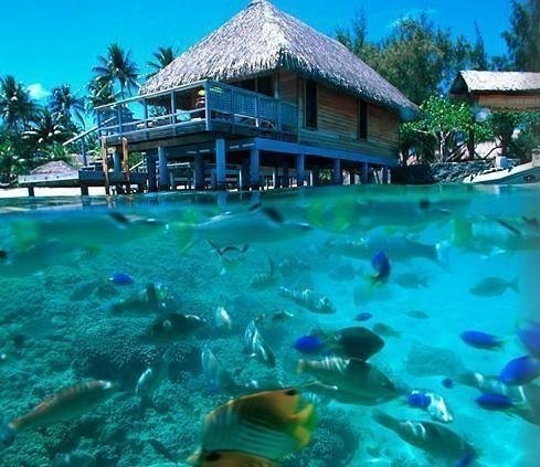 Bora Bora Luxury Resort.