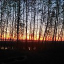 ���� ��������, ������� - ��������� 28 ������� 2017 � ������ ���������� ������