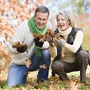 ���� �������, ����� - ��������� 5 �������� 2017 � ������ ������ ��������