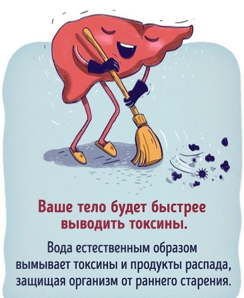 Что будет, если все напитки заменить водой.#полезное@rules4life - 5