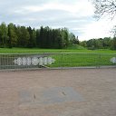 ���� �����, �����-���������, 51 ��� - ��������� 5 ���� 2017 � ������ ������ � ���������� �����