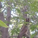 ���� �������, ����������� - ��������� 12 ���� 2017 � ������ ������� ��.�