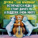 ���� �������, ������ - ��������� 7 ������� 2017 � ������ ��������