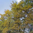 ���� ���������, ������ - ��������� 29 ������� 2017 � ������ ��������� �� ���� ����� 15 ������� 2017 ����