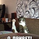 ���� ��������, ������, 61 ��� - ��������� 16 ������� 2017 � ������ ���� ����������