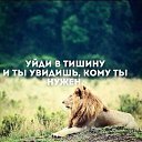 ���� ���������, ��������� - ��������� 15 ���� 2017 � ������ ���� ����������