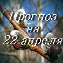 ���� ������, ���������, 55 ��� - ��������� 21 ������ 2017 � ������ ������ ��������