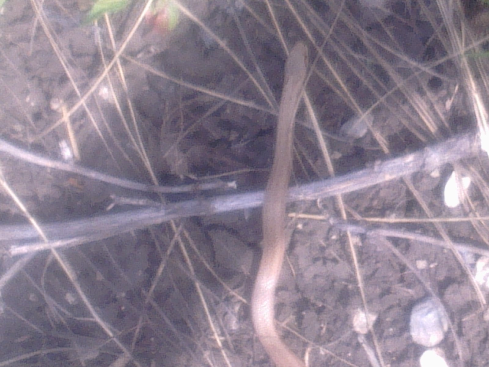 ������������� ����-������,����,�����,�����,������ ����� ��...�� � � - 2