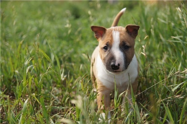 Уважаемые участники группы!)).Всем хорошего настроения в Буле-Городке))) Надеемся что в нашей группе ...