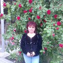 ���� �����, �������������� - ��������� 19 �������� 2017