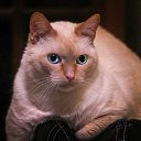 ���� Lena, ������ - ��������� 30 ��� 2017 � ������ ������ ��������