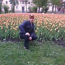 ���� ������, �����-���������, 41 ��� - ��������� 6 ���� 2017 � ������ ���� ����������