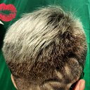 ���� �������, ������ - ��������� 24 ���� 2017 � ������ ������ ��������